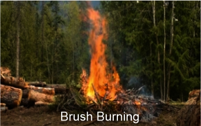 Brush Burning - Permit